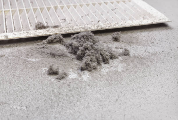 Best Air Duct Inspection  in Bressler, PA